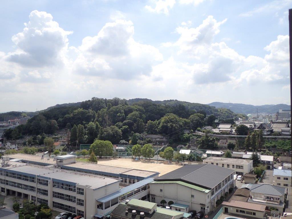 お知らせの画像