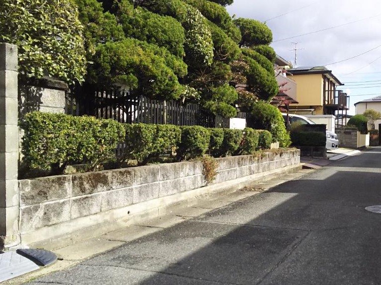 お知らせの画像