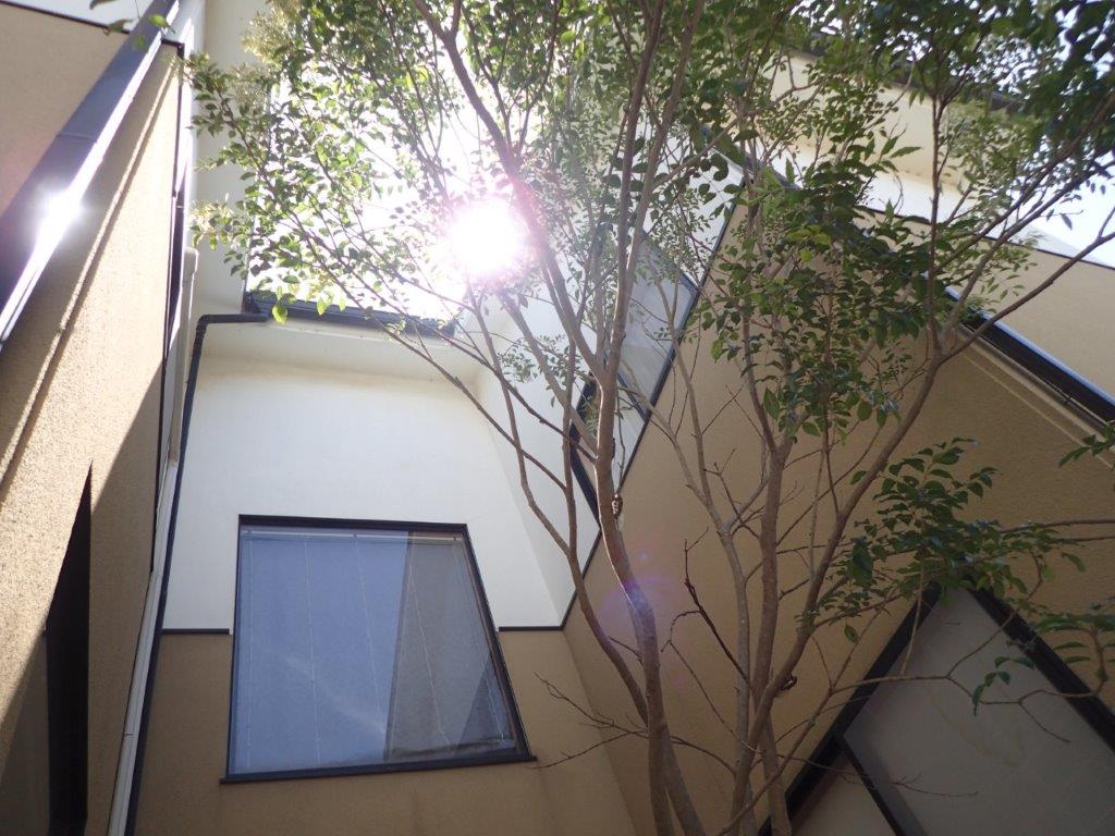 お知らせの画像